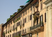 Piazza Navona - Rome 008