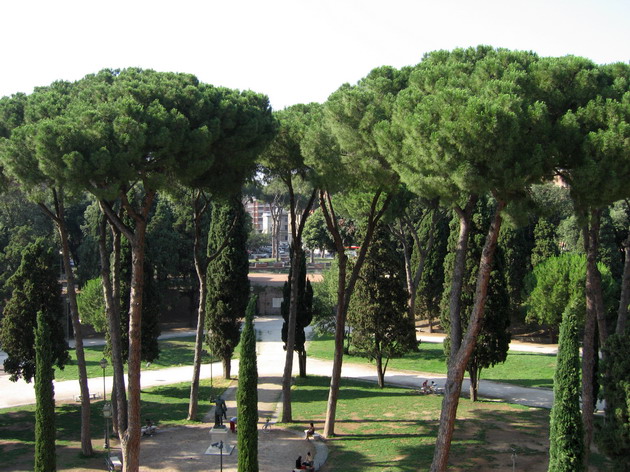 Tillbaka till Fotogalleriet -Foton  fr&aring;n Rom