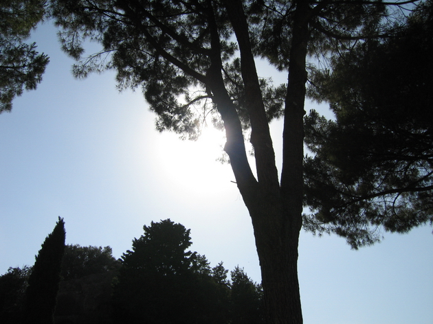 Tillbaka till Fotogalleriet -Foton  fr&aring;n Rom